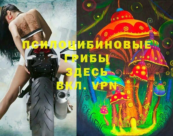 гашиш Вяземский